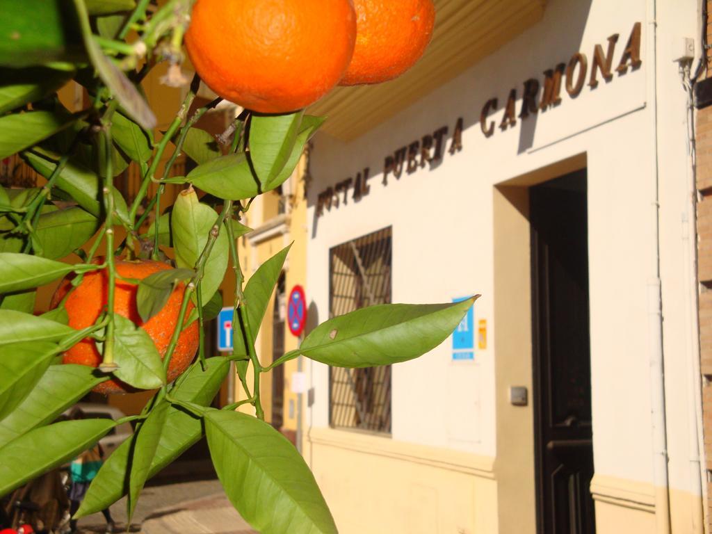 Hostal Puerta Carmona Севиля Екстериор снимка
