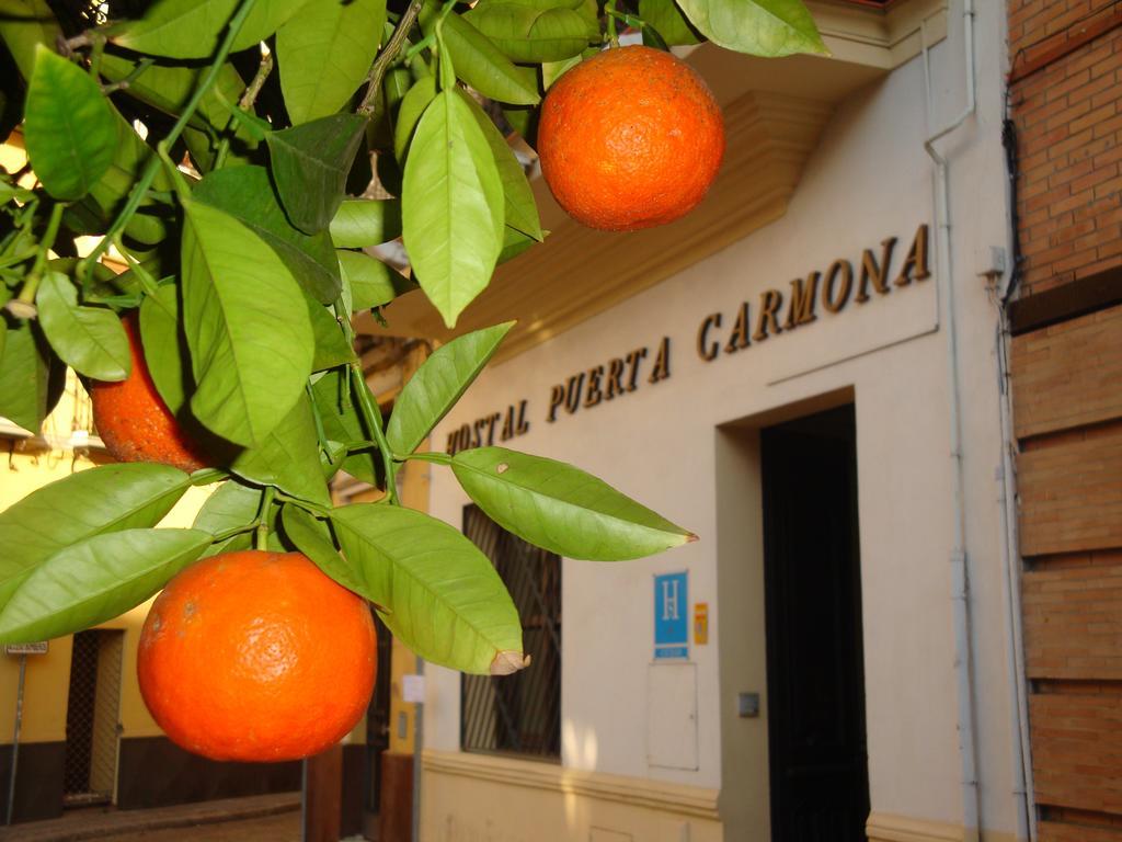 Hostal Puerta Carmona Севиля Екстериор снимка